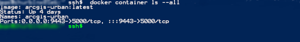 Example output of the docker console check